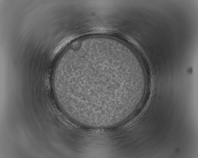 X0000116011259200912101333