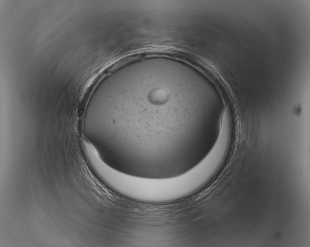 X0000116011260200912101333