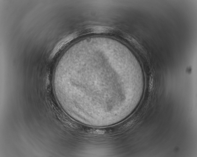 X0000116011261200912101333