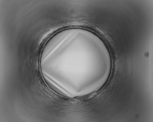 X0000116011262200912101333