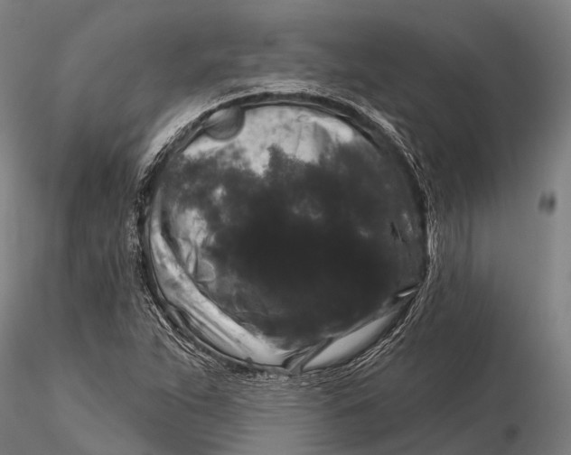 X0000116011263200912101333