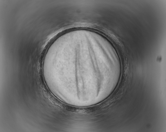 X0000116011264200912101333