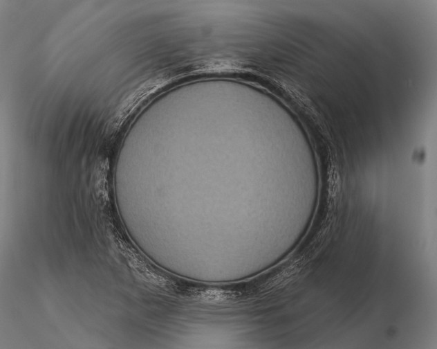 X0000116011265200912101333