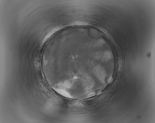 X0000116011266200912101333