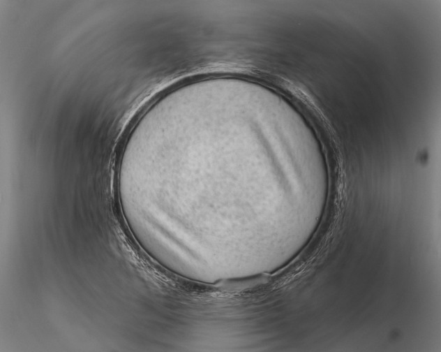 X0000116011268200912101333