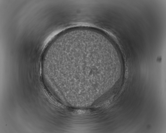 X0000116011271200912101333