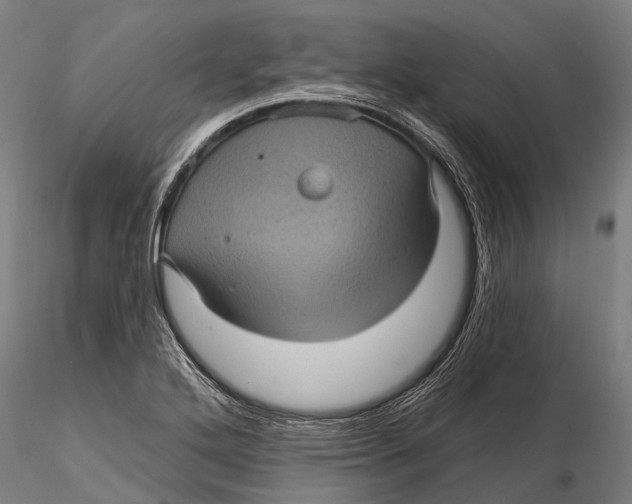 X0000116011272200912101333