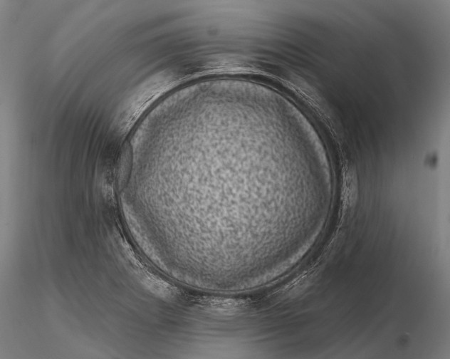 X0000116011273200912101333