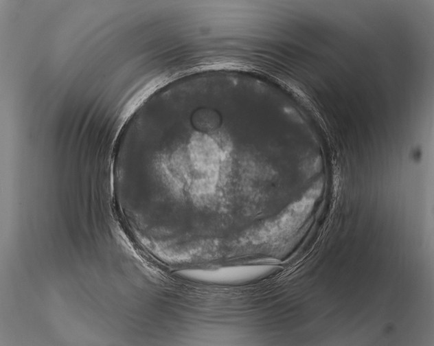 X0000116011274200912101333