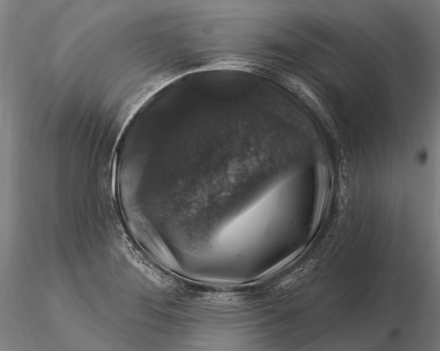 X0000116011276200912101333