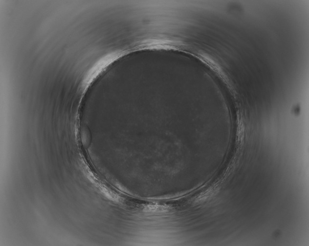 X0000116011277200912101333