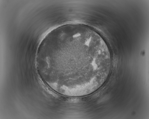 X0000116011278200912101333