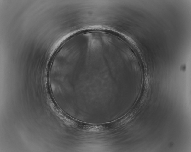 X0000116011279200912101333