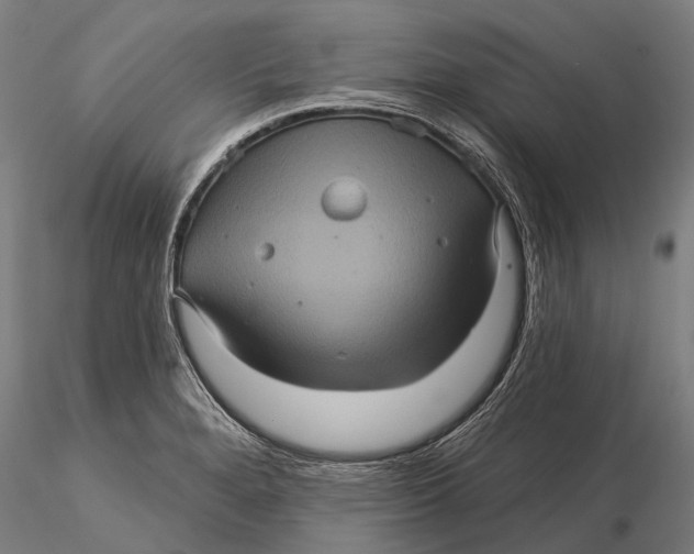 X0000116011280200912101333