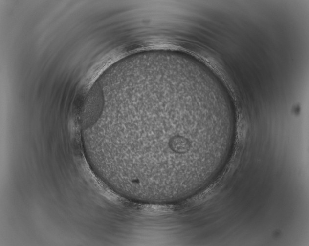 X0000116011281200912101333