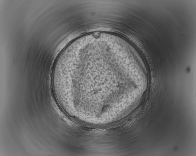 X0000116011282200912101332