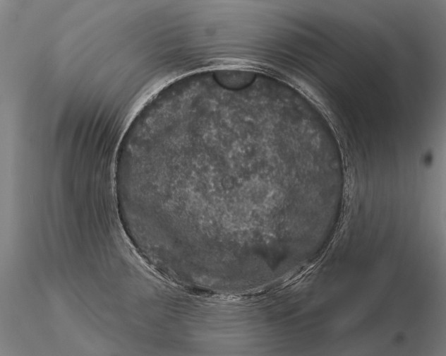 X0000116011283200912101332