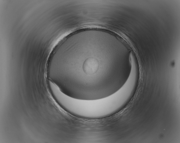 X0000116011285200912101332