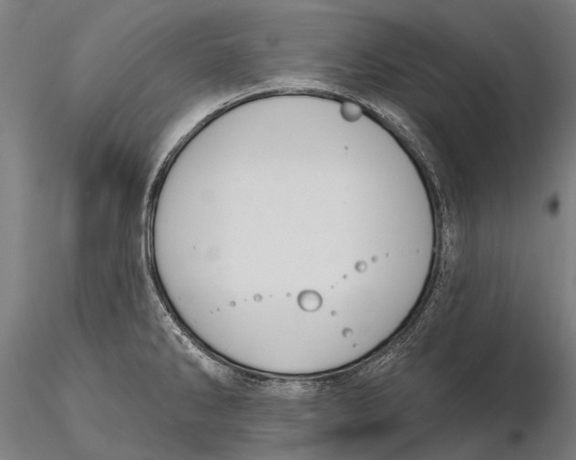 X0000116011286200912101332