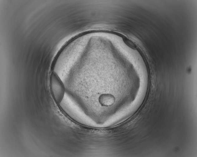 X0000116011288200912101332