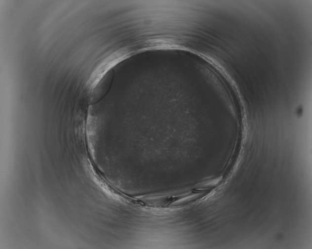 X0000116011289200912101332