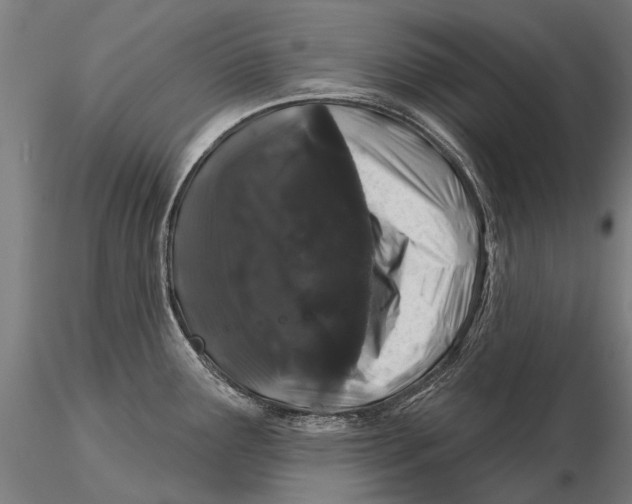 X0000116011291200912101332