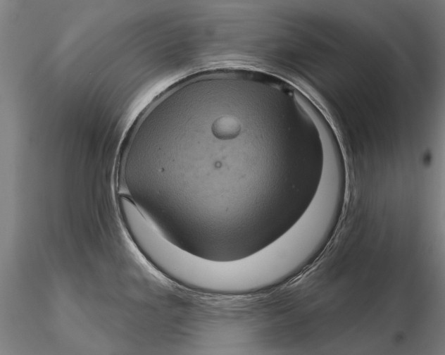 X0000116011293200912101332