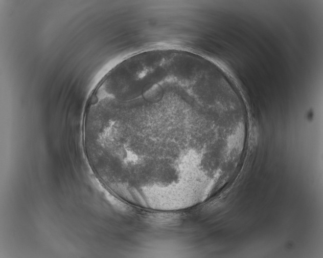 X0000116011294200912101332