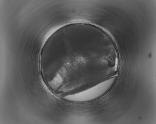 X0000116011295200912101332