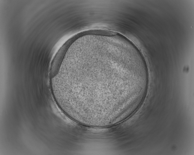 X0000116011296200912101332