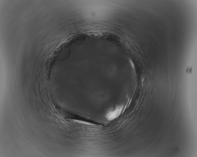 X0000116011297200912101332