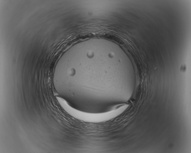 X0000116011298200912101332