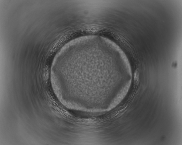 X0000116011299200912101332