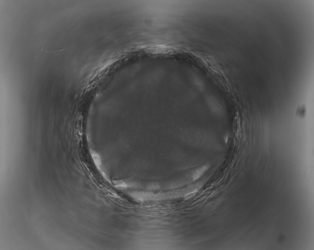 X0000116011301200912101332