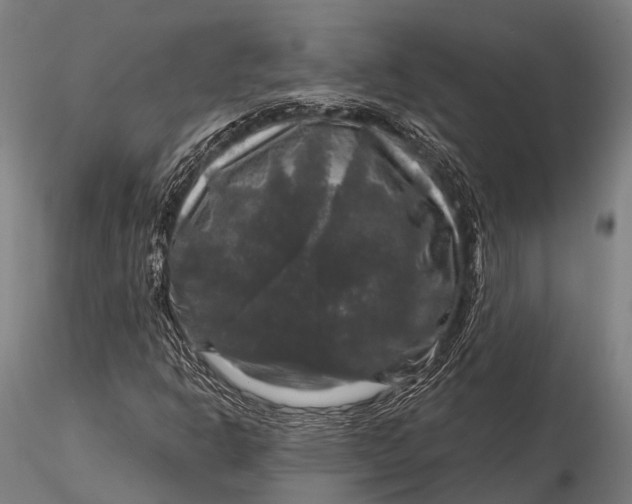 X0000116011302200912101332