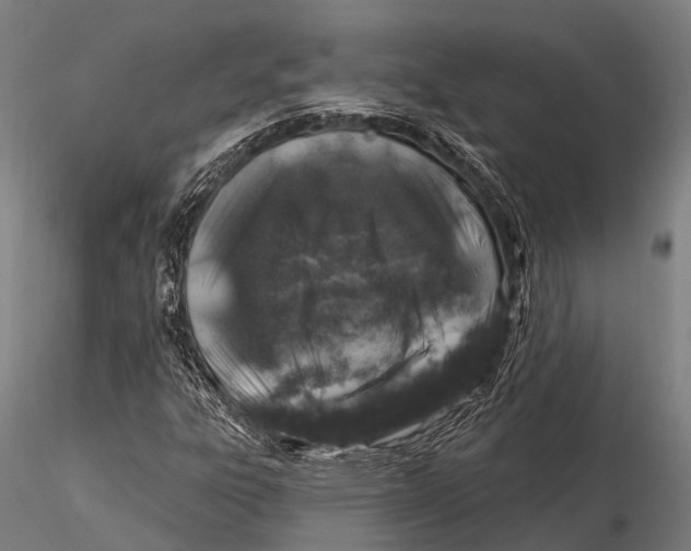 X0000116011303200912101332