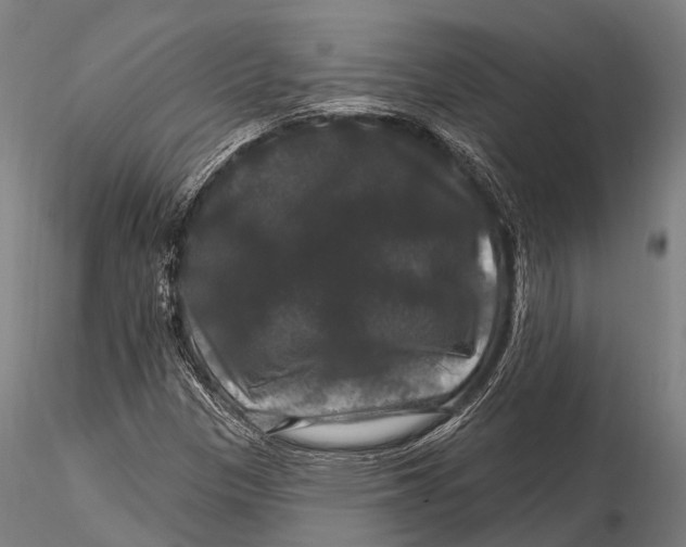 X0000116011305200912101332