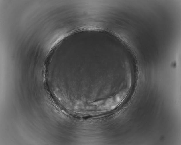 X0000116011306200912101332