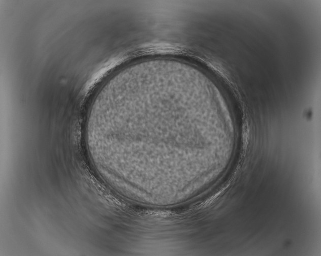 X0000116011309200912101332