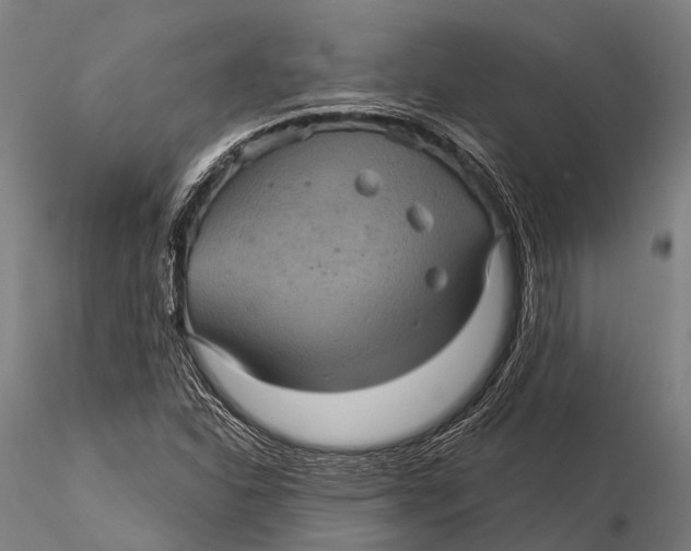 X0000116011310200912101332