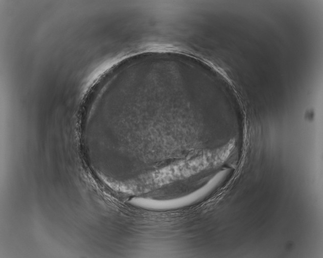 X0000116011311200912101332