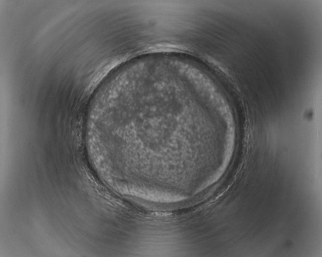 X0000116011313200912101332