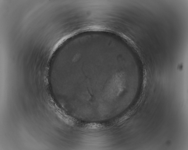 X0000116011314200912101332