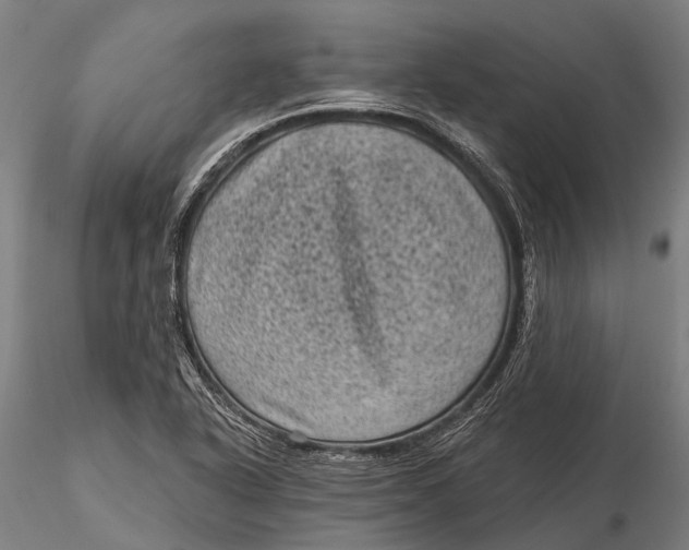 X0000116011318200912101332