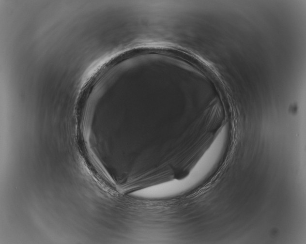 X0000116011319200912101332