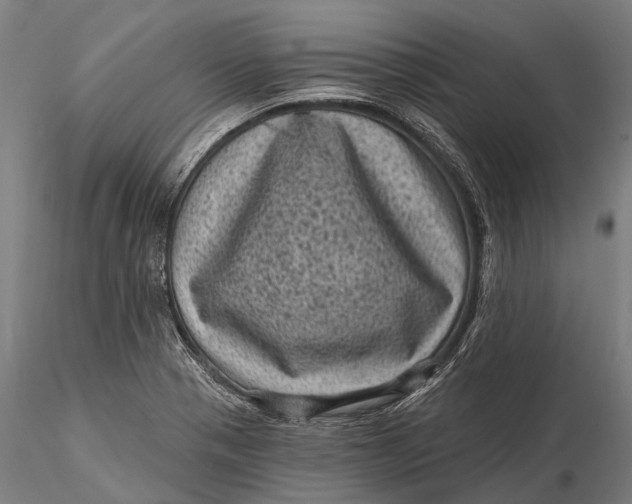 X0000116011321200912101332