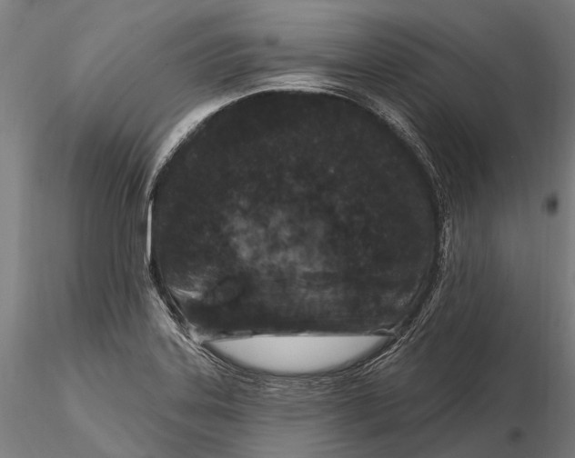 X0000116011323200912101332