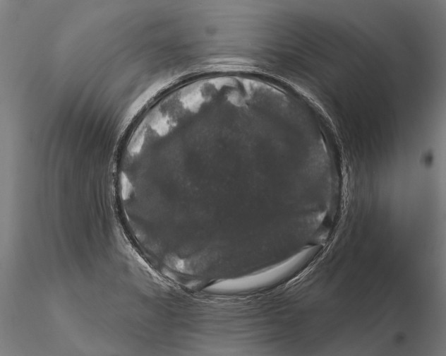 X0000116011325200912101332