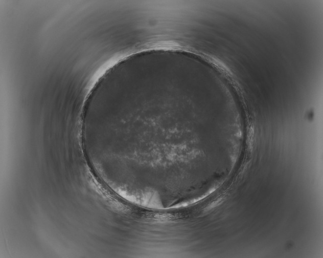 X0000116011326200912101332