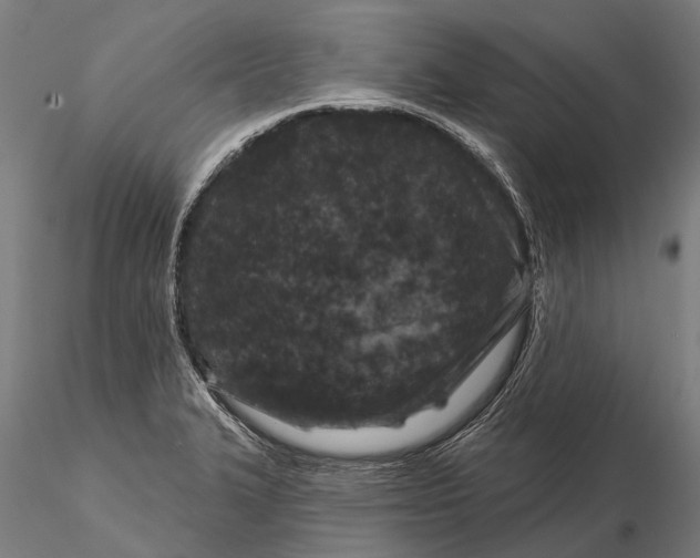 X0000116011327200912101332